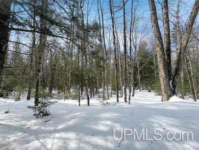 Build your Northwoods getaway just across the way from beautiful - photo 4