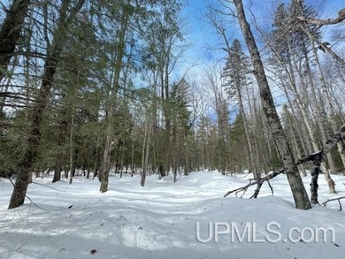 Build your Northwoods getaway just across the way from beautiful - photo 5