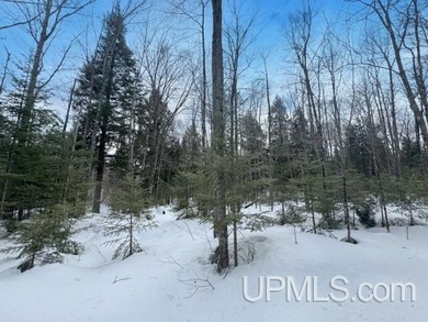 Build your Northwoods getaway just across the way from beautiful - photo 6