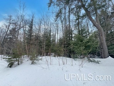 Build your Northwoods getaway just across the way from beautiful - photo 7