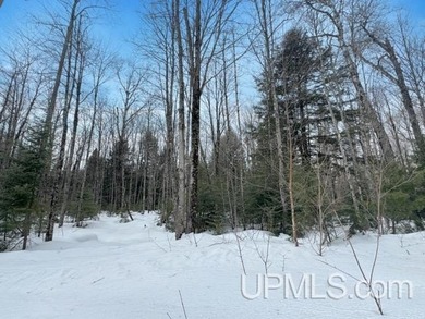 Build your Northwoods getaway just across the way from beautiful - photo 8