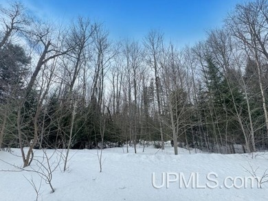 Build your Northwoods getaway just across the way from beautiful - photo 9