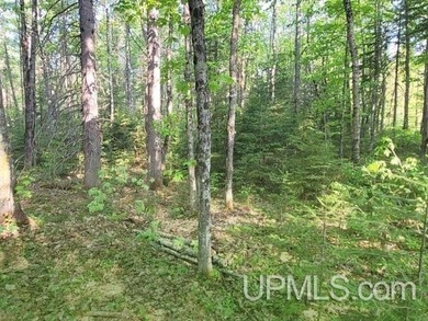 Build your Northwoods getaway just across the way from beautiful - photo 10