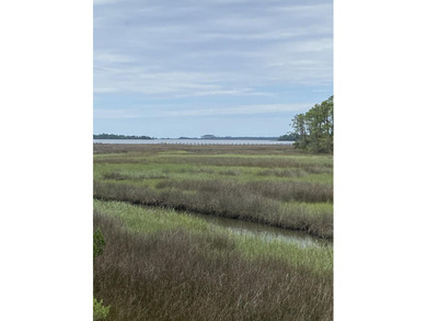 Investment opportunity. 4 lots being sold together totaling 2.13 - photo 4