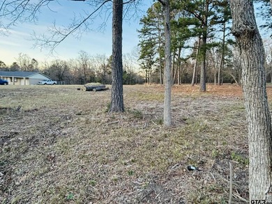 Cleared and ready for construction, this beautiful lot is approx - photo 5