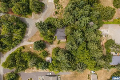 Amongst the trees on an acre this lovely 4 bed 2.5 bath home is - photo 9