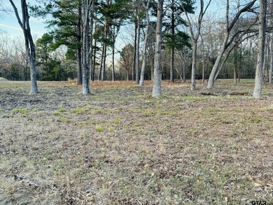 Cleared and ready for construction, this beautiful lot is approx - photo 10