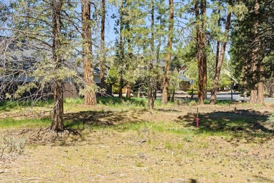 Tucked into a quiet, tree filled setting, this exceptional - photo 11