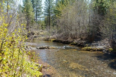 Tucked into a quiet, tree filled setting, this exceptional - photo 14