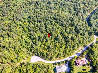 Norris Lake access "¢ 3.39 wooded acres - photo 14
