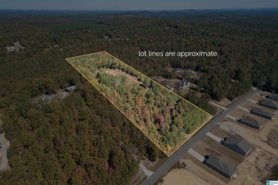 Lake Acreage For Sale in Riverside, Alabama