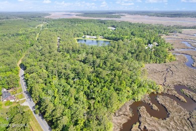 Surrounded by breathtaking natural scenery, this vacant lot - photo 1
