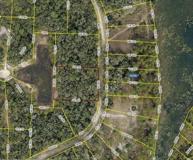 (private lake, pond, creek) Lot For Sale in Webster Florida