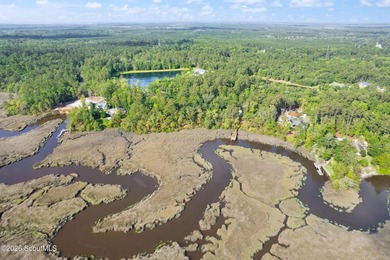 Surrounded by breathtaking natural scenery, this vacant lot - photo 8