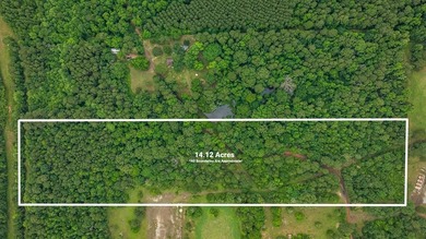 (private lake, pond, creek) Acreage For Sale in Nacogdoches Texas