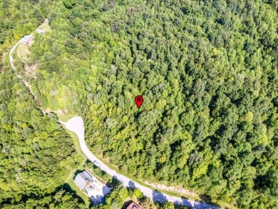 Norris Lake access "¢ 3.39 wooded acres - photo 15