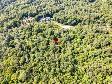 Norris Lake access "¢ 3.39 wooded acres - photo 18