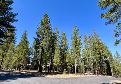 Deschutes River - Deschutes County Lot For Sale in La Pine Oregon