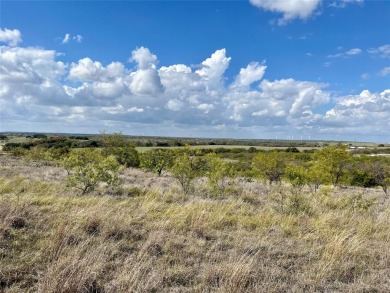 Lake Comanche Acreage For Sale in Comanche Texas