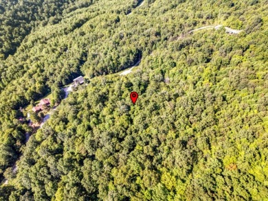 Norris Lake access "¢ 3.39 wooded acres - photo 17