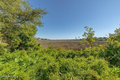 Coastal lifestyle with marsh views forever , this exquisite end - photo 2