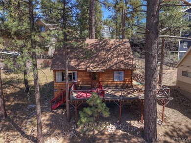 Two-bedroom, one-bath cabin located in a quiet area of Fawnskin - photo 7