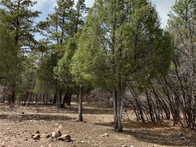 Chama River Lot For Sale in Chama New Mexico