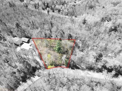 Welcome to this beautiful .71 acre wooded lot offering the - photo 1