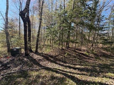 Welcome to this beautiful .71 acre wooded lot offering the - photo 4