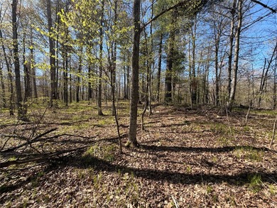 Welcome to this beautiful .71 acre wooded lot offering the - photo 5