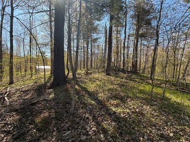 Welcome to this beautiful .71 acre wooded lot offering the - photo 6