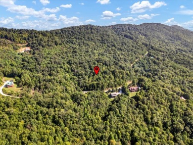Norris Lake access "¢ 3.39 wooded acres - photo 12