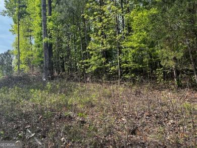 Lake Lot For Sale in Lagrange, Georgia