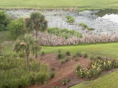 ***Best Price 'Bayview' Condo*** in the Baytowne Village. This - photo 5