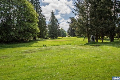 Peaceful park-like setting in Dungeness Meadows! Updates meet - photo 4