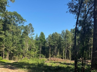 Lake Acreage For Sale in Zavalla, Texas