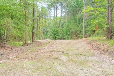 Lake Acreage For Sale in Zavalla, Texas