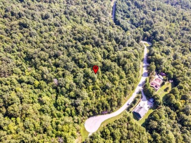 Norris Lake access "¢ 3.39 wooded acres - photo 21