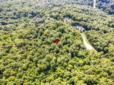 Norris Lake access "¢ 3.39 wooded acres - photo 19