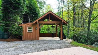 (private lake, pond, coastal) Lot For Sale in Scaly Mountain North Carolina