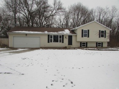 Lake Home For Sale in North Webster, Indiana