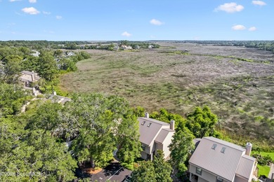 Wake up to breathtaking marsh views at 316 Brockinton Marsh! - photo 3