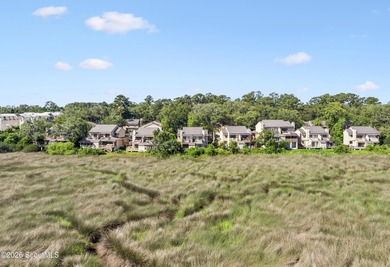 Wake up to breathtaking marsh views at 316 Brockinton Marsh! - photo 4