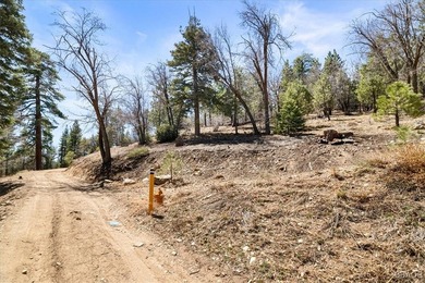 Discover an extraordinary 1.25-acre haven nestled on a private - photo 3