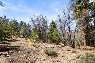 Discover an extraordinary 1.25-acre haven nestled on a private - photo 6