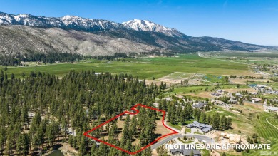 (private lake, pond, creek) Acreage For Sale in Washoe Valley Nevada