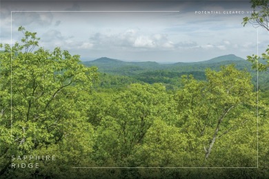 Hogback Lake Acreage For Sale in Sapphire North Carolina