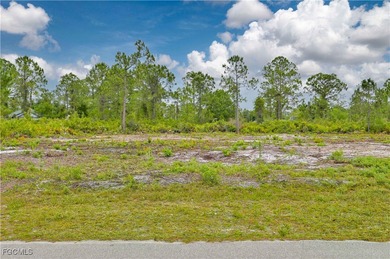 Lehigh Acres Area Lot For Sale in Lehigh Acres Florida