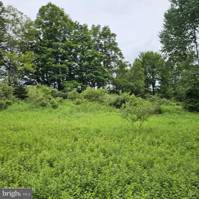 Lake-view lot with a valid perc test already completed and ready - photo 2