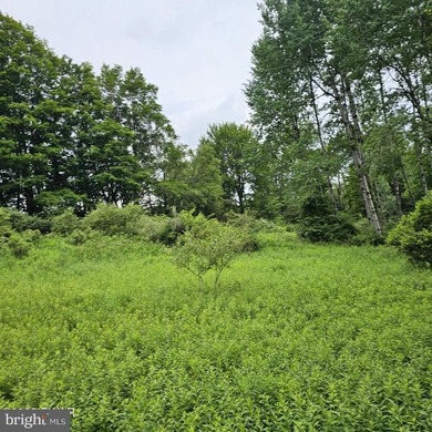 Lake-view lot with a valid perc test already completed and ready - photo 4